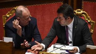 Salvini, di legge elettorale si occupa Calderoli, siamo in buone mani