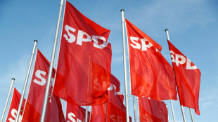 Medien: Ostbeauftragter Schneider soll Umweltminister und Miersch SPD-Fraktionschef werden