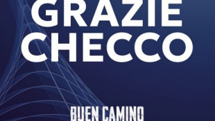 Pier Silvio Berlusconi ringrazia Zalone con una pagina sui principali quotidiani