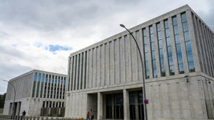 Presunto agente doble alem&aacute;n tendr&iacute;a acceso a informaci&oacute;n de inteligencia de pa&iacute;ses aliados (medios)