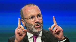 EVP-Chef Weber fordert engere Zusammenarbeit mit Italiens Regierungschefin Meloni