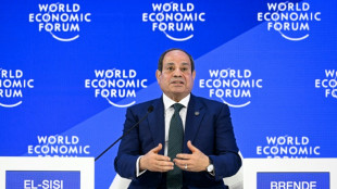 El presidente de Egipto acept&oacute; la invitaci&oacute;n de sumarse al "Consejo de Paz"