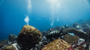 On the front line of ocean conservation off Portugal's Madeira
