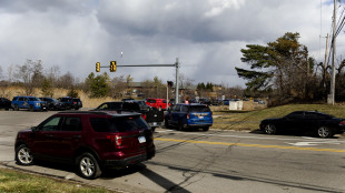 Cnn, assalitore in Michigan aveva legami con membri Hezbollah