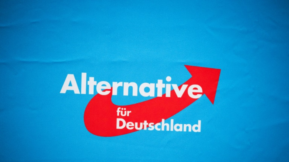 AfD-Anh&auml;nger protestieren in Berlin gegen die Ampel-Regierung
