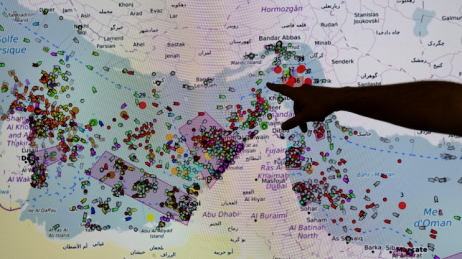 French hub monitors Hormuz tensions from afar