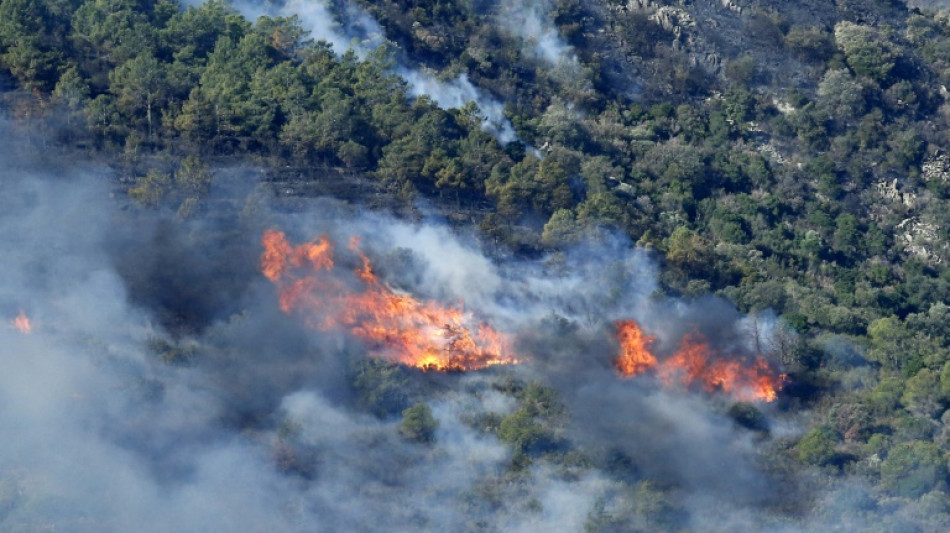 Espagne: l'incendie &agrave; la fronti&egrave;re avec la France sous contr&ocirc;le