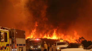 Incendio forestal cerca de Los &Aacute;ngeles se expande r&aacute;pidamente y arrasa decenas de casas