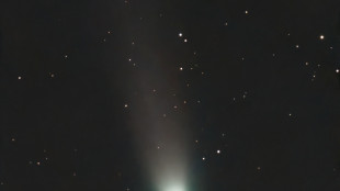 Telescopio genovese cattura un'immagine della cometa Lemmon