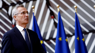 La UE y la OTAN se proponen fortalecer su cooperaci&oacute;n