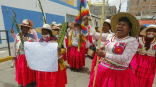 Protestas contra el gobierno de Per&uacute; se reinician con bloqueo de v&iacute;as