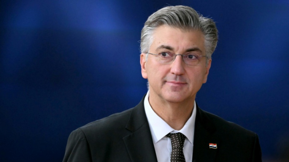 Bundeskanzler Merz empf&auml;ngt kroatischen Ministerpr&auml;sidenten Plenkovic in Berlin