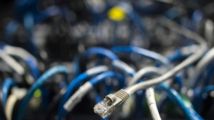 Mutma&szlig;licher Unterst&uuml;tzer russischer Hackergruppe in Deutschland festgenommen