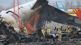 Qu&eacute; caus&oacute; el accidente a&eacute;reo m&aacute;s mort&iacute;fero de Corea del Sur