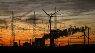 Bundesnetzagentur erwartet 2026 "stabile oder sinkende" Strompreise