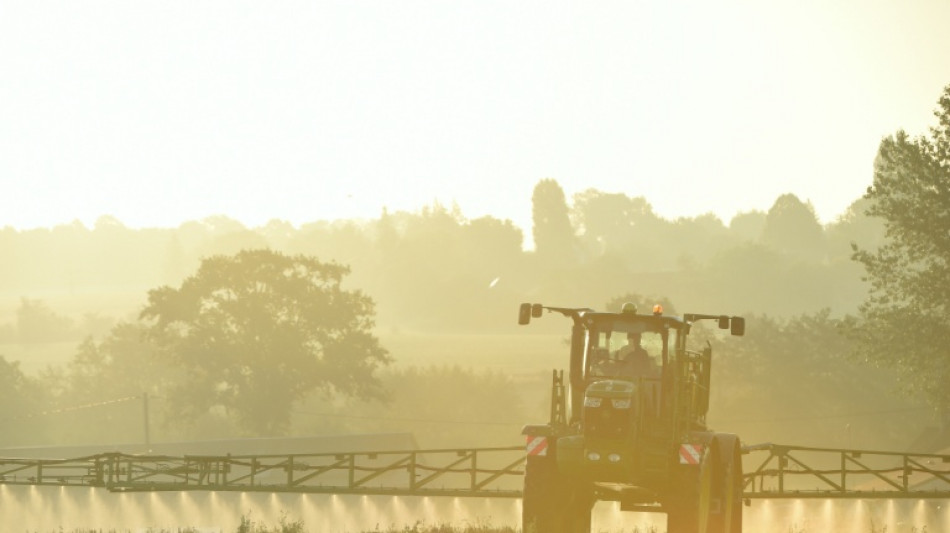 Ecophyto: le gouvernement pr&eacute;sente sa nouvelle strat&eacute;gie pour r&eacute;duire les pesticides