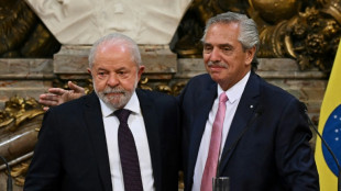 Lula con Fern&aacute;ndez: "Brasil est&aacute; otra vez de brazos abiertos"