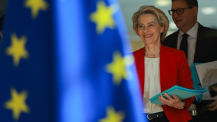 Sì dei 27 al fondo Ue da 150 miliardi per la difesa