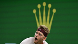 Tennis: Davidovich surprend Zverev, finale 100% espagnole &agrave; Shanghai