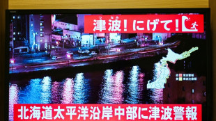Jap&oacute;n retira una alerta de tsunami tras un terremoto de magnitud 6,7