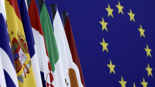 Ue, 'al via antenne per fabbriche IA, accesso a supercalcolo'
