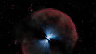 Scoperto un buco nero in crescita ultrarapida, supera i limiti