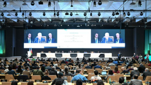Turkey tussles with Australia to host 2026 UN climate talks