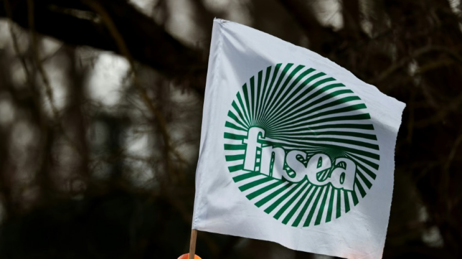 Agriculteurs: la FNSEA n'exclut pas de nouvelles actions d'ici les f&ecirc;tes