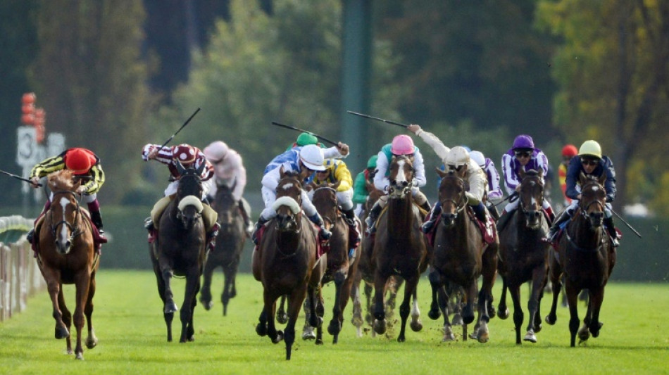 Prix de l'Arc de Triomphe: 16 pur-sang anglais courrent apr&egrave;s un titre mondial