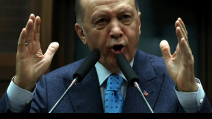 Erdogan anuncia que las elecciones generales en Turqu&iacute;a ser&aacute;n el 14 de mayo