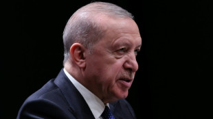 Turkish MPs back limited amnesty for Kurdish militants