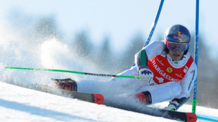 'Fun day' for Olympic champion Braathen in giant slalom win