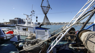 Caro gasolio, nei porti aumenti del 33%, picchi a Caorle (+41,9%) e Livorno (+37,5%)