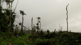 La d&eacute;forestation ralentit dans le monde, mais pas en Afrique centrale