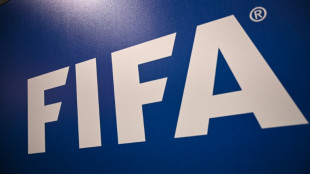 Fifa reconhece 'esfor&ccedil;o significativo' da Ar&aacute;bia Saudita em direitos humanos para receber Copa de 2034