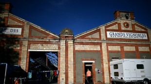 Vendanges: dans l'ombre des ch&acirc;teaux prestigieux, squats et marchands de sommeil