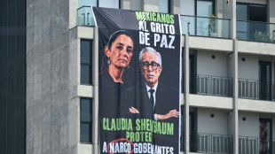 Mexican governor wanted on US drug charges returns to job