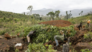 L'ultime bataille de villageois sierra-léonais contre la déforestation massive de leurs régions