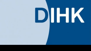Ver&auml;ndertes Logo: DIHK will Zeichen gegen Rechtsextremismus setzen