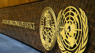 La CPI condena las sanciones de EEUU en su contra y afirma que seguir&aacute; "impartiendo justicia"