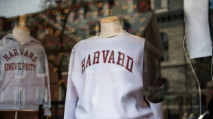Harvard processa Trump por vetar estudantes estrangeiros