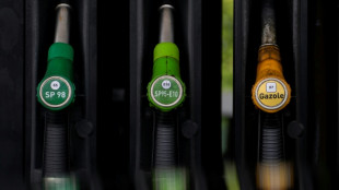 Certificats d'&eacute;conomie d'&eacute;nergie: 4 &agrave; 6 centimes d'impact sur le carburant (p&eacute;troliers)