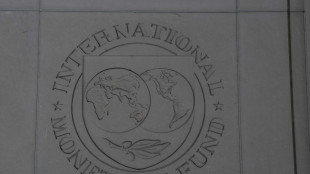 Internationaler W&auml;hrungsfonds (IWF) stellt Weltwirtschaftsausblick vor 