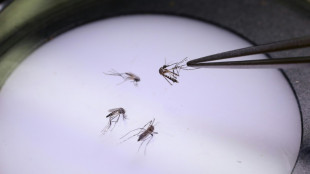 Invasive species cost trillions in damages: study