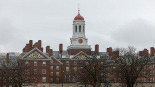 Trump garante que 'vai vencer' a queda de braço com Harvard
