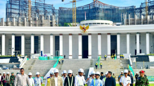Wenige Wochen vor Er&ouml;ffnung: Indonesien ersetzt Chef der neuen Hauptstadt