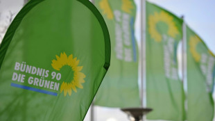 Gr&uuml;ne in Sachsen w&auml;hlen Spitzentrio f&uuml;r Landtagswahl