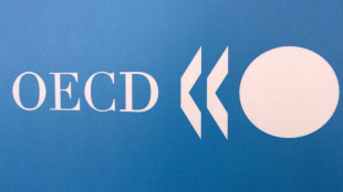 La OCDE alerta sobre el "riesgo de evasi&oacute;n fiscal" de las multinacionales