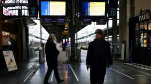 Le trafic &agrave; la gare de l'Est &agrave; Paris interrompu "toute la journ&eacute;e" apr&egrave;s un "incendie volontaire" 