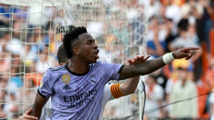 Br&eacute;sil: l'Etat de Rio approuve une loi "Vini Jr" contre le racisme dans les stades